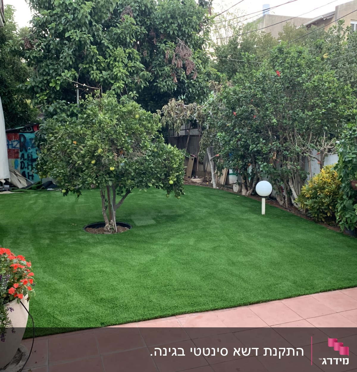 דשא ירוק, עצי פרי, עציץ עם פרחים אדומים